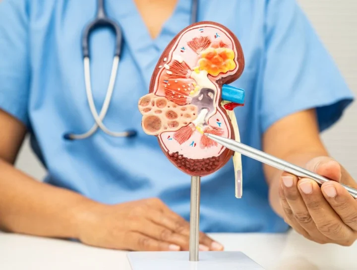 chronic disease management plan