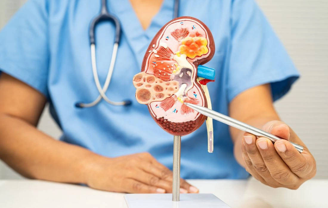 chronic disease management plan